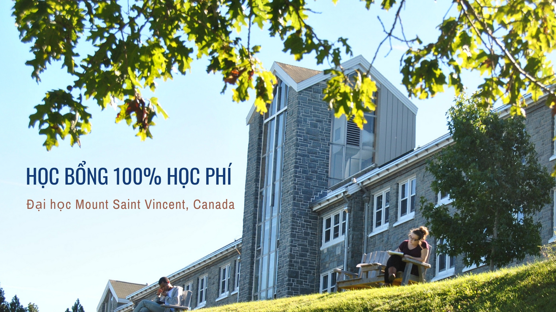 Trường Đại học Mount Saint Vincent